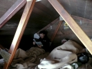 Au bivouac...