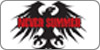 NeverSummer boards