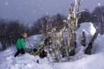 Caro trick s�v�re dans un arbre au Chili