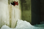 Margot Rozies