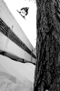 Max Delayen