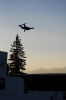 Steph Routin Flyin'