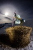 Nills Shack front 3 handplantin'