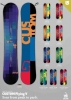 CustomFlying V
