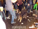 Danse avec les loups