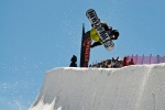 Thomas Delfino