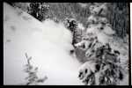Participant freerideur