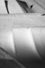 Shaun White sur les grosses tables XTREMES.