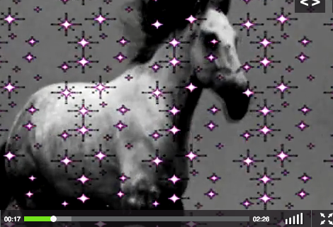 Red Bull Utra Natural : video Best-of