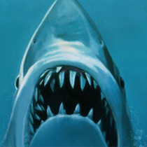 Avalanche Sharks - Teaser