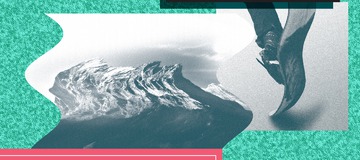 Testez des boards dans les Pyr&eacute;n&eacute;es !