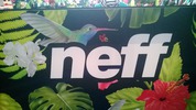 Le colibri Neff
