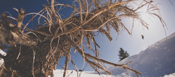 Cover story : Danny Davis par Blotto