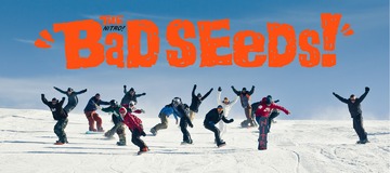 The Bad Seeds : micro-teaser