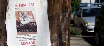 Carte Postale de l'Oregon, Ep 2