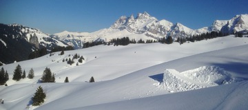 Heads or Tails, le nouveau What We Want.