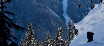 The Search - Stepping Stones