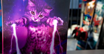 2016 en vid&eacute;o : Capita et Yes.