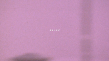 S P I C E - Dominik Wagner