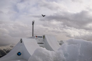 Suzuki Nine Royals 2017